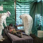 In vivo anti-plasmodial activities and toxic impacts