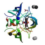 Molecular screening of antibiotic-resistant determinants among multidrug-resistant  clinical isolate...