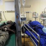 Outcome of a working diagnosis