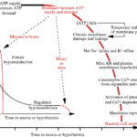 Hypoxemia predicts death