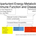 Sub clinical immune reactions