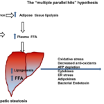 liver function and inflammatory cytokines modulation