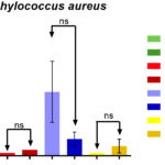 Evaluation of antibacterial, antifungal and modulatory activity